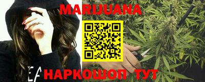 шишки Бузулук