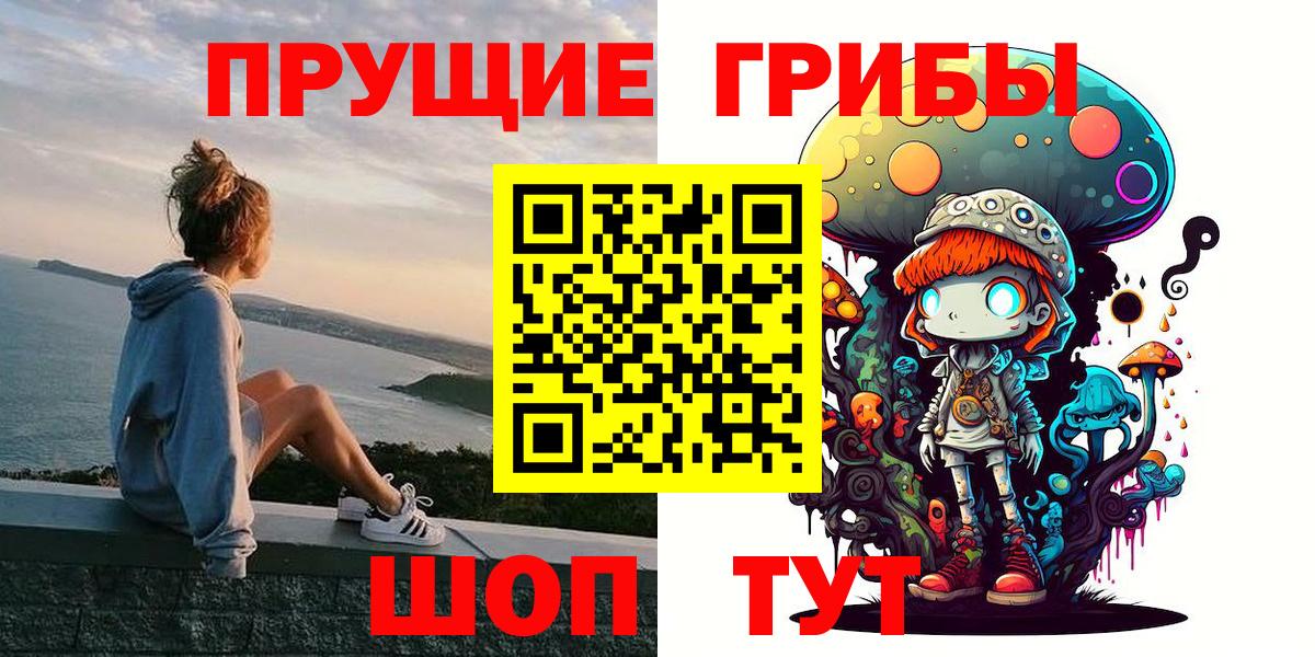 закладка  Вход с VPN  Киселёвск  Псилоцибиновые грибы Magic Shrooms 