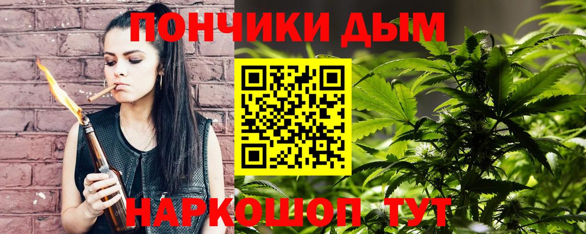 Шишки марихуана марихуана Киселёвск